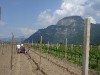 2009-05-19_13-52-42.jpg