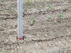 2009-04-26_11-18-54.jpg