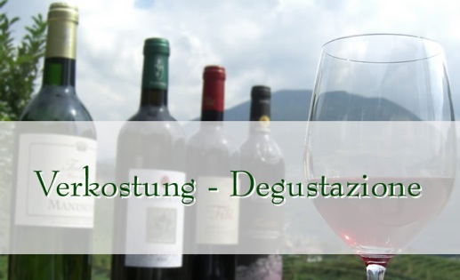 intro608-vinea-tirolensis-2006-bottles-glass