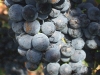 2009-10-02_09-23-29