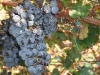 2009-10-02_09-23-52