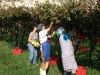 2009-10-02_09-24-49