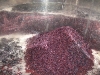 2009-10-02_18-14-35