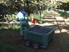 2009-09-30_09-48-46