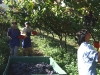 2009-09-30_09-49-48