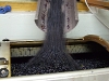 2009-09-30_09-52-41