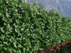 2010-09-24_15-17-52